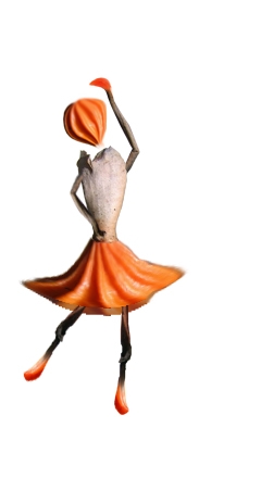 Creation of Seed Dance: Step 11